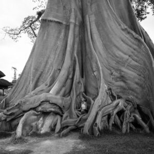 Peaceful meditation scene with focused breathing and binaural audio, illustrating the Pantheon Method in action – start your practice now